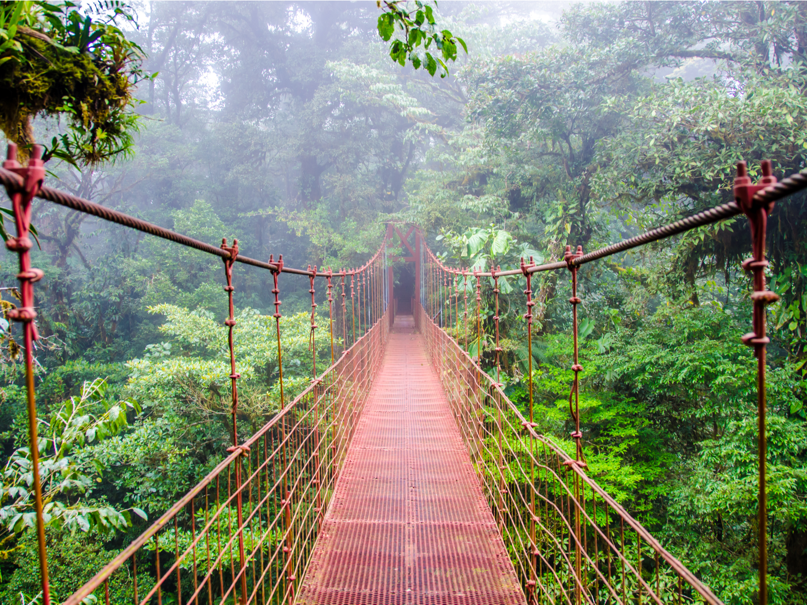 Monteverde rainforest bridge, one of the best places to visit in Costa Rica, pictured on a foggy day