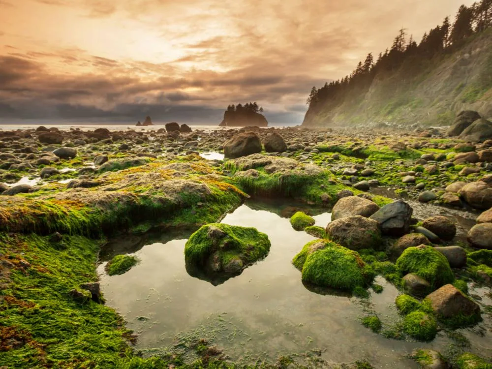 16 Best Places to Visit in Washington State in 2024