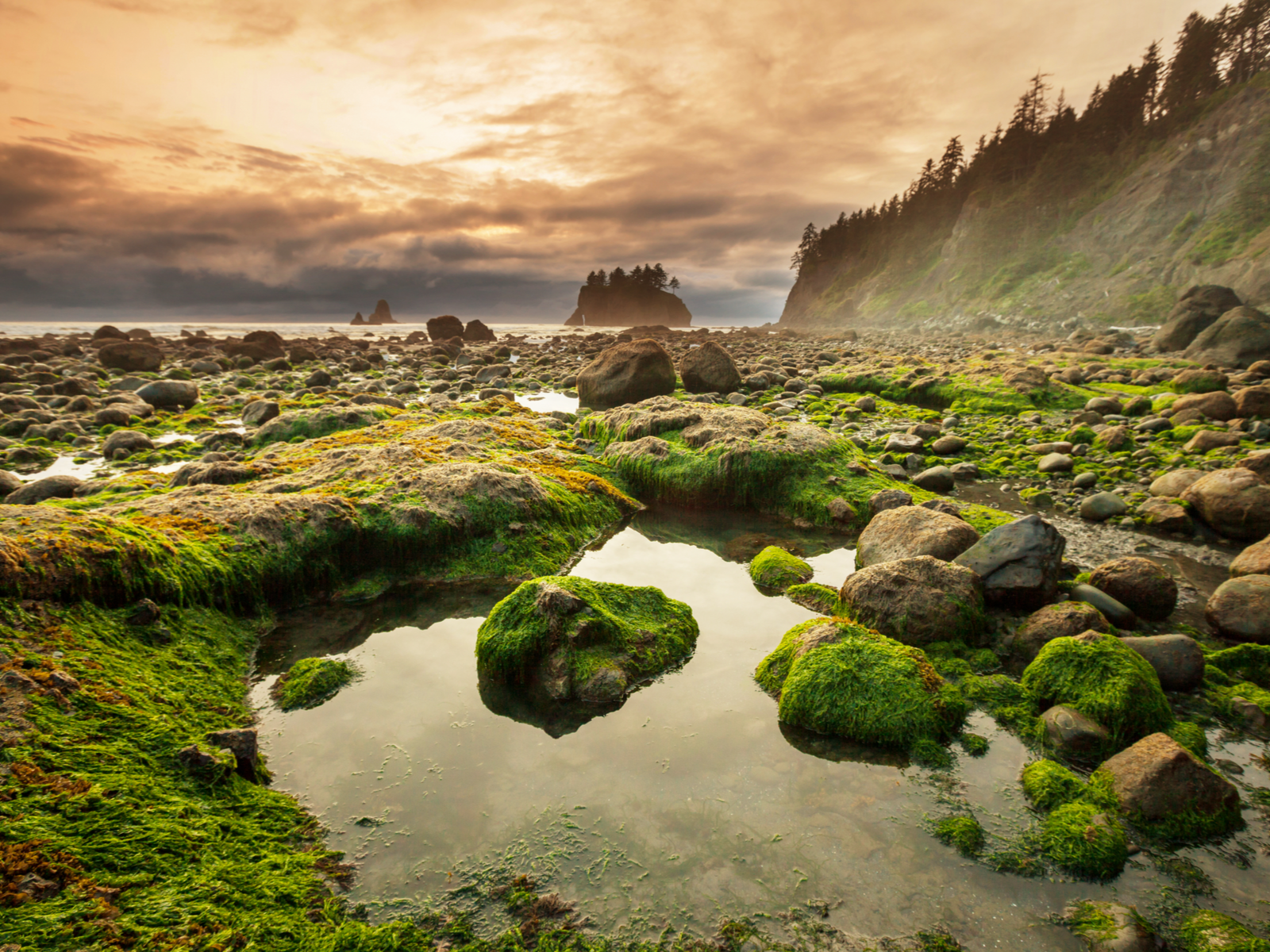 Gorgeous dusk view of one of the best places to visit in Washington State, Olympic National Park, with fog on the horizon