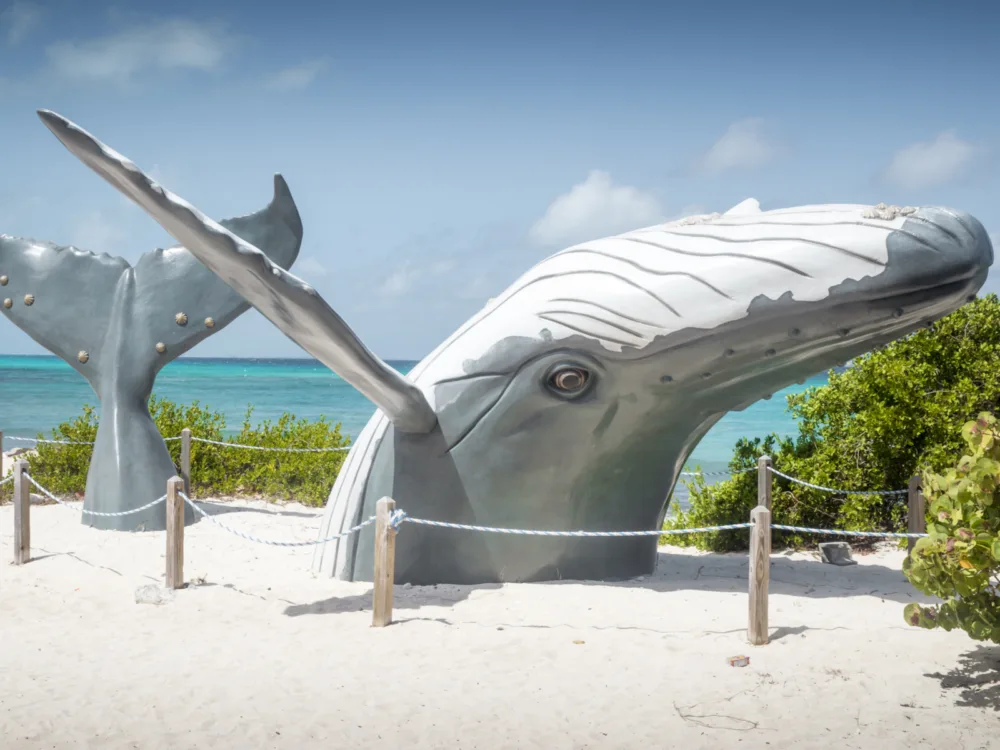Blue whale statue on a Grand Turk Beach