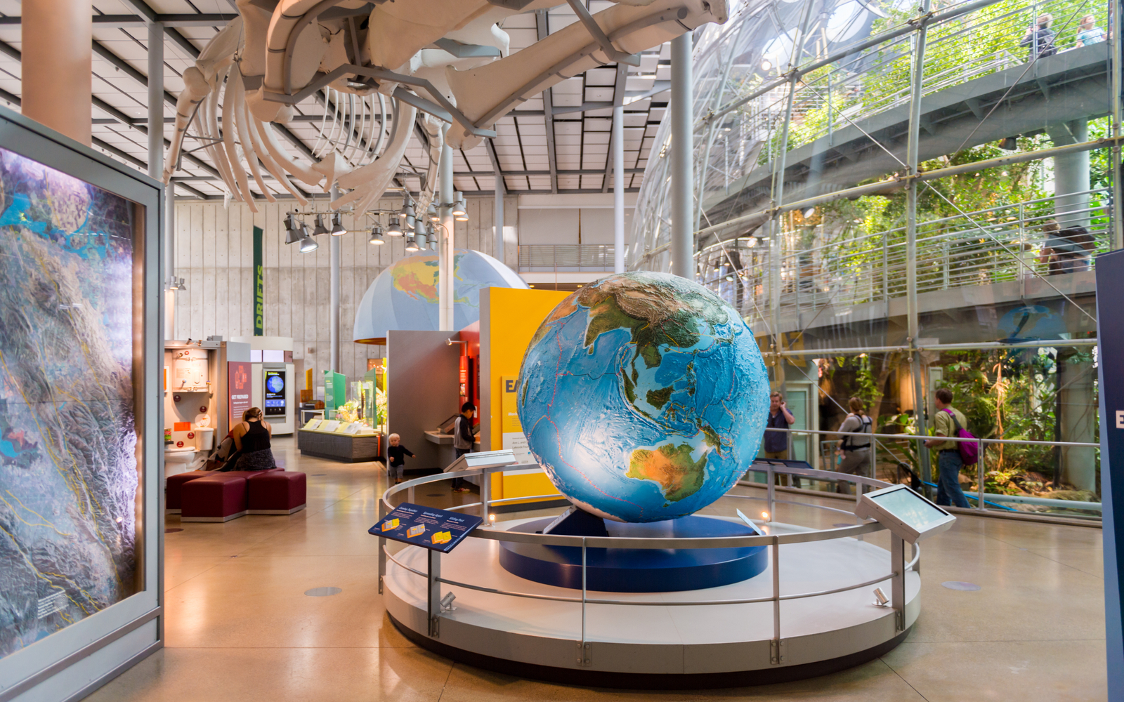Interior of the California Academy of Sciences, one of the best science museums in America