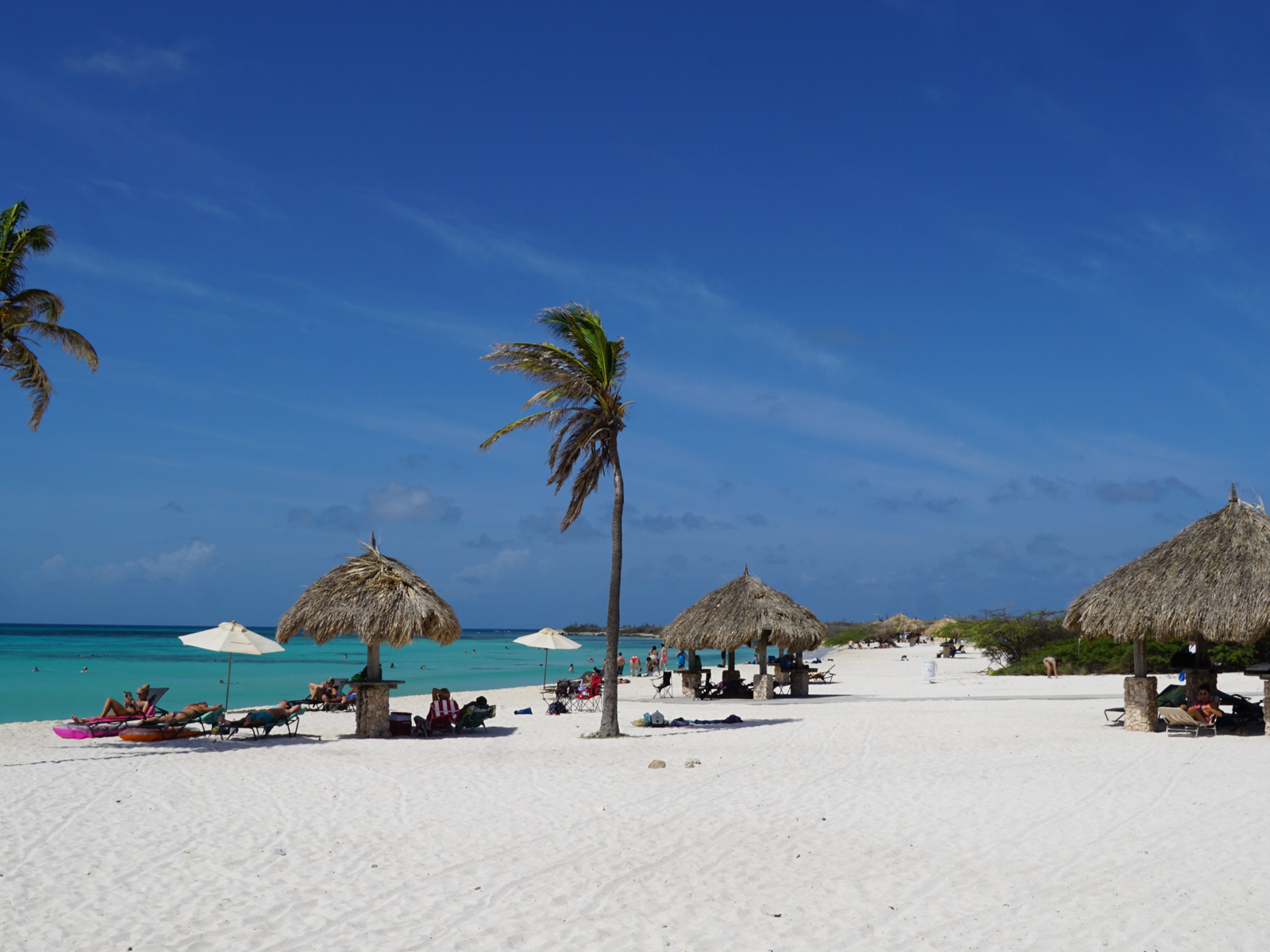 Tourist sunbathing on a hot day at the secluded beach of Arashi Beach, one of the best beaches in Aruba with native huts and palms trees
