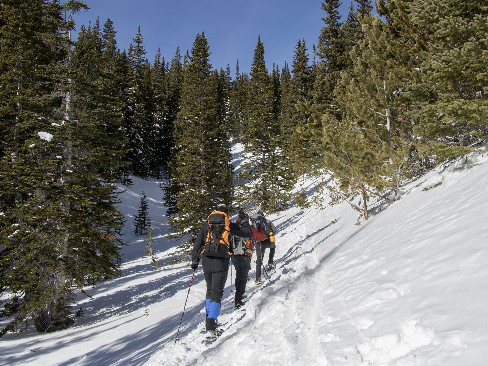 Three skiers climbing on a trail in one of the best ski resorts near Denver, Eldora Mountain