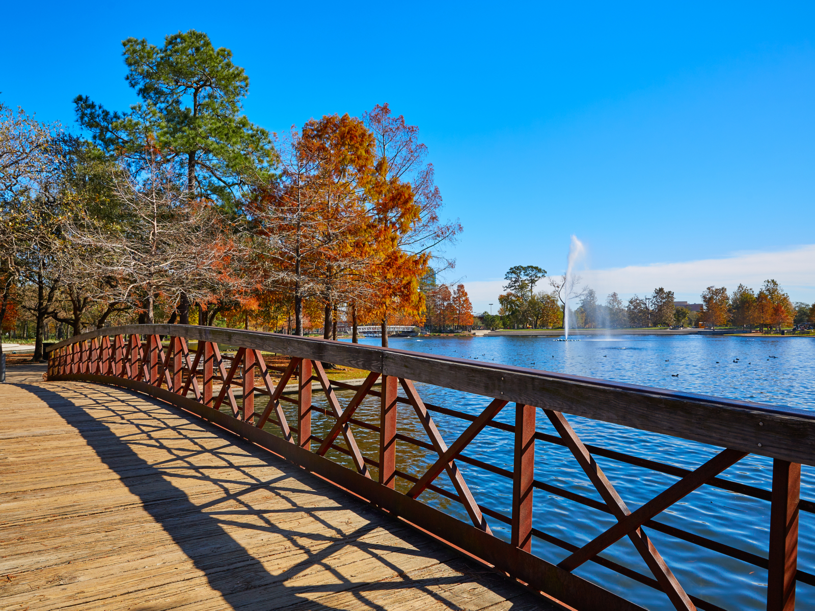 Houston Hermann Park, one of the best things to do in Texas