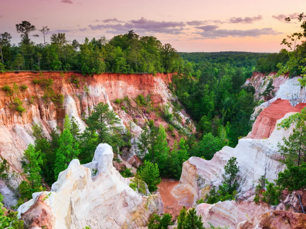 Vibrant orange soil at Providence Canyon in Providence Island State Park, pictured on a solemn sunset for a piece on the best tourist attractions in Georgia, where trees thrives at the top and below the canyon