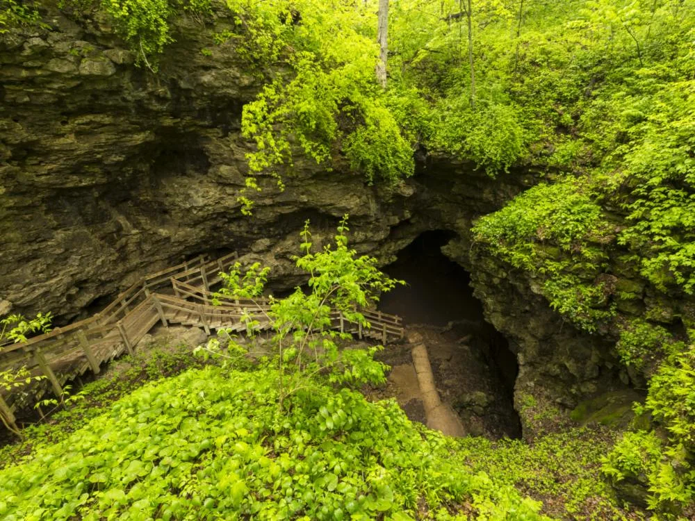 Wooden stairs leading down the mysterious Maquoketa Caves, a pick for what to see in Iowa, with damp looking rocks and overgrowth of ferns and vines