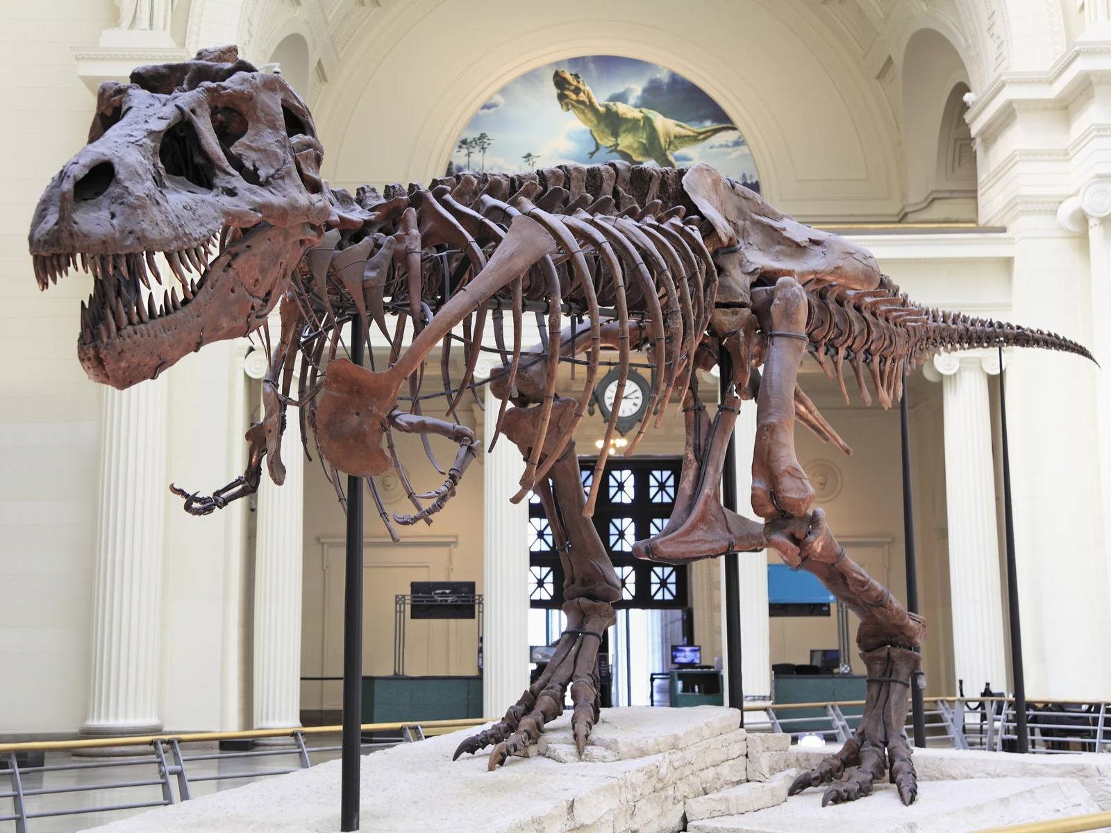 Dinosaur in the Field Museum, one of the best things to do in Chicago