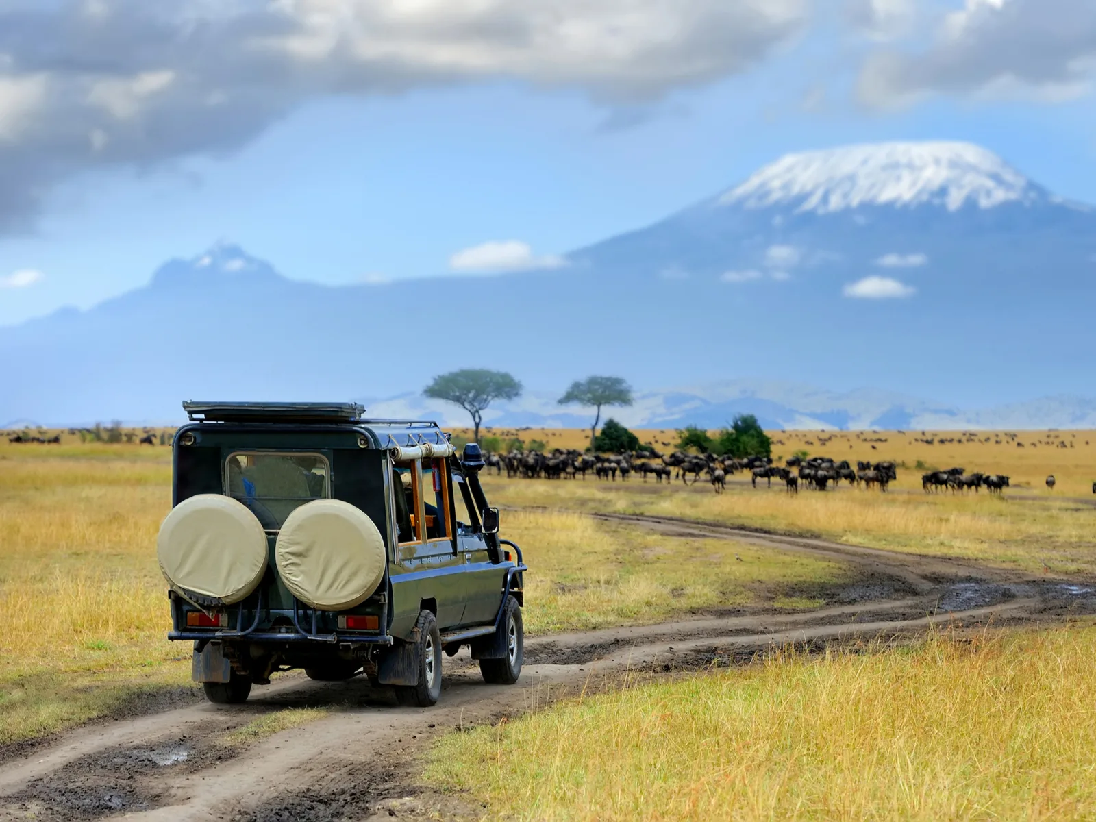 Land rover taking people on one of the best Safaris in Africa, the Serengeti National Park