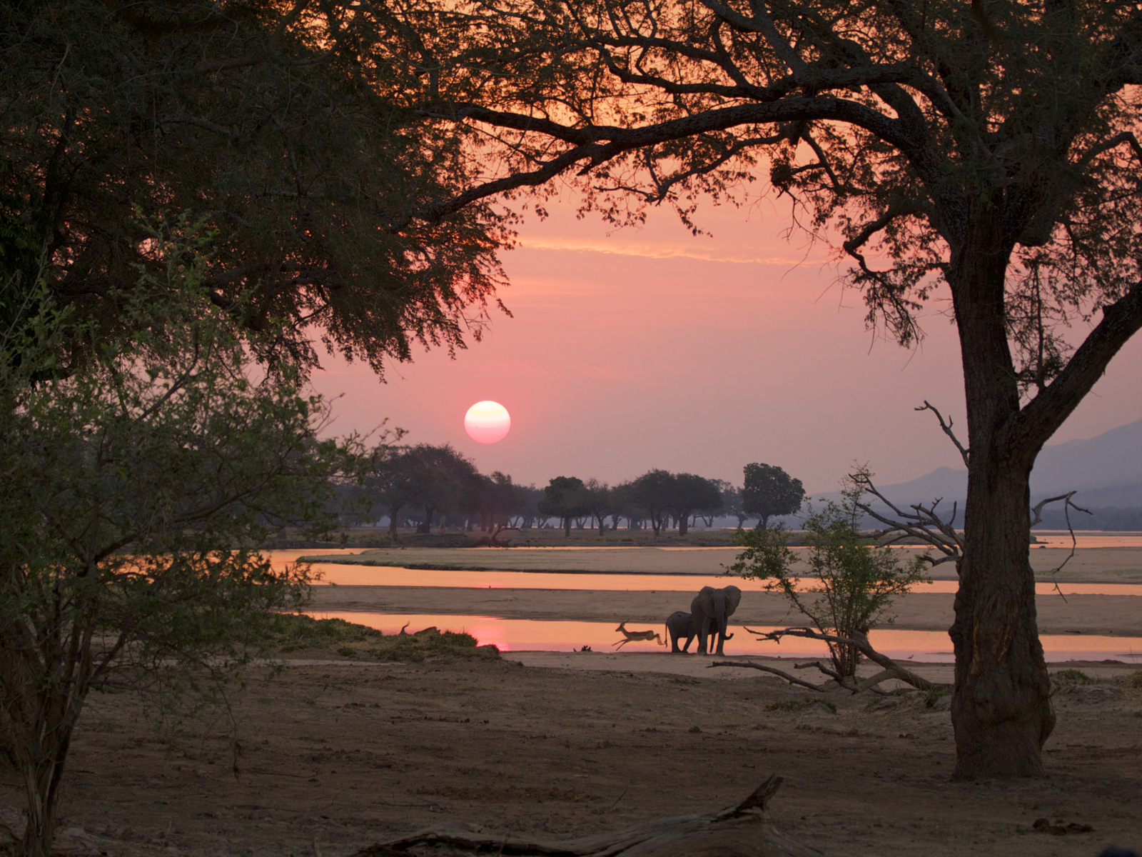 Sunset at the Mana Pools National Park, one of Africa's best safaris