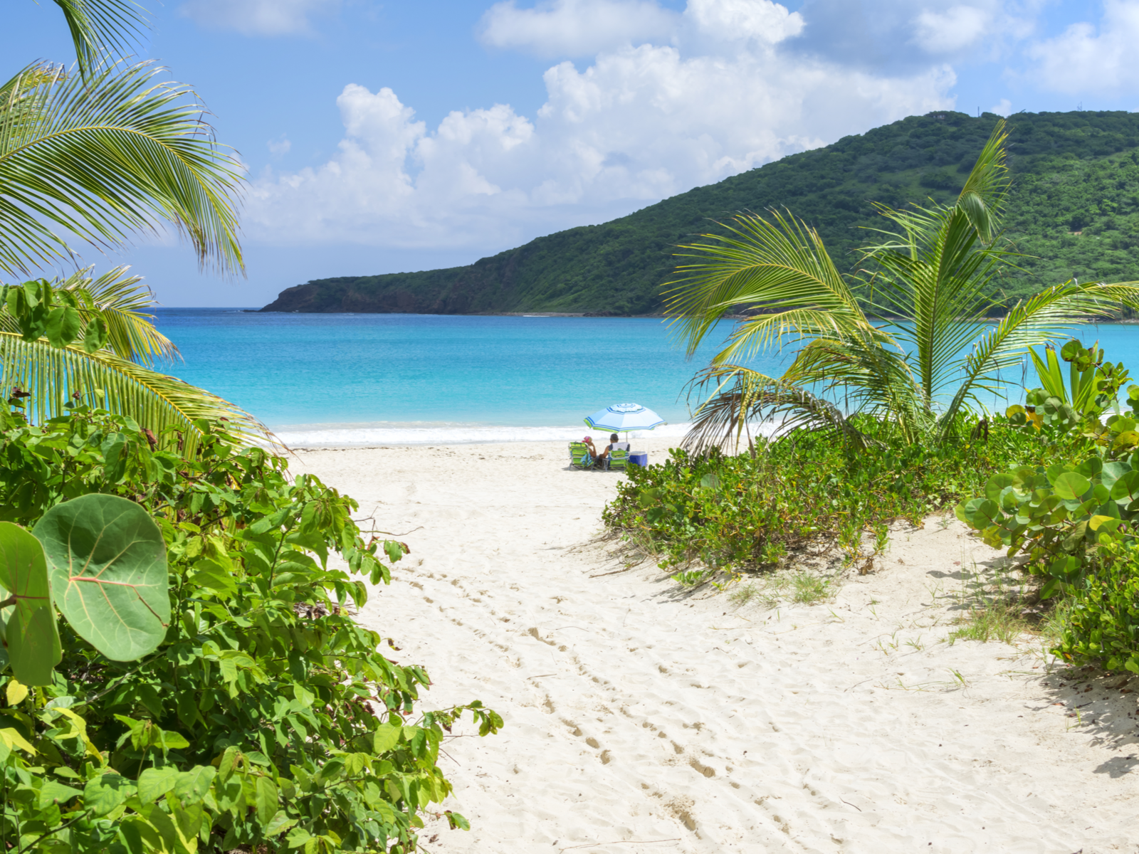 Gorgeous view of Flamenco Beach, one of the best beaches in Puerto Rico, viewed through the trees