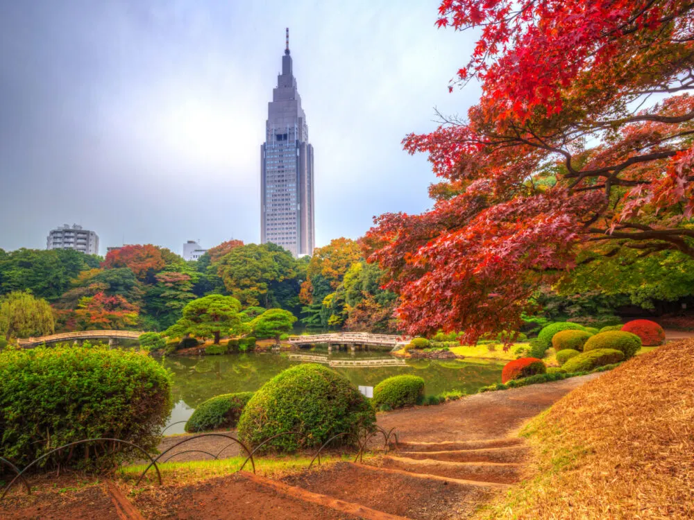 Autumn in Shinjuku Gyoen National Park, one of Japan's best places to visit