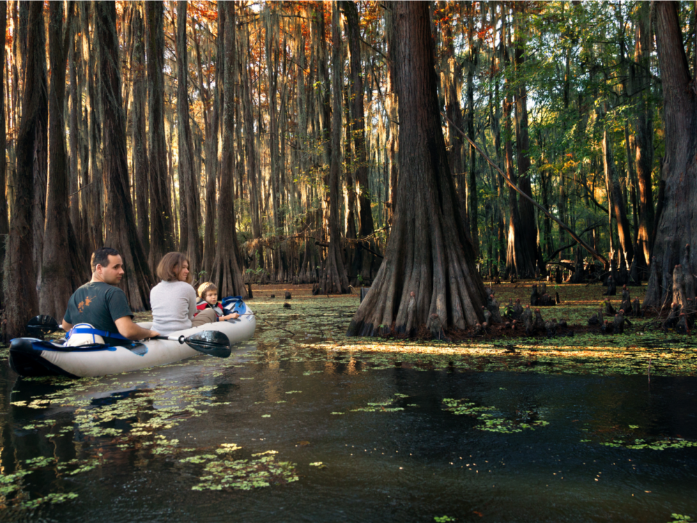 A family of three in rowing an in inflatable boat among the old Cypresses at Caddo Lake in Texas and Louisiana, named as one of the best lakes in the U.S.