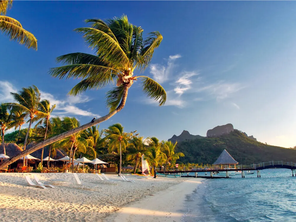 Beach and palm trees pictured during the best time to visit Bora Bora