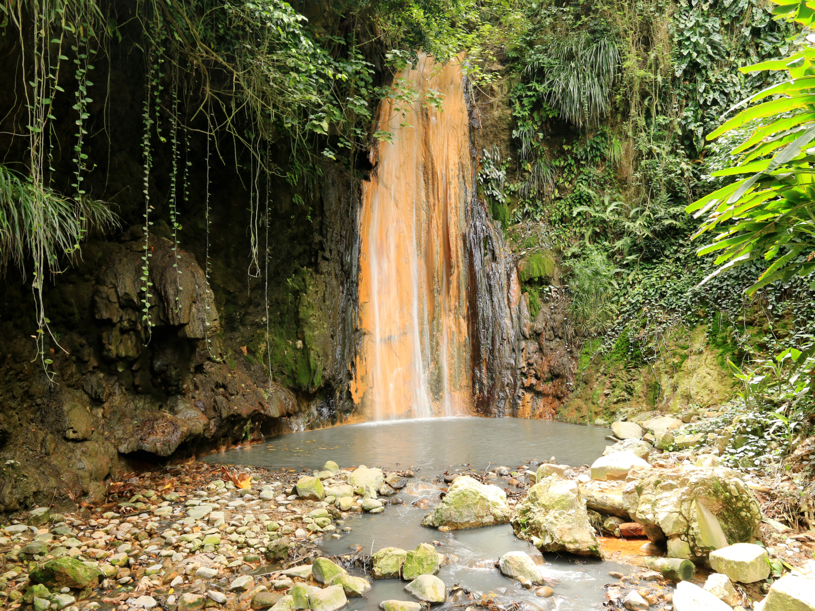 One of the best things to do in Saint Lucia, the Diamond Falls Botanical Gardens