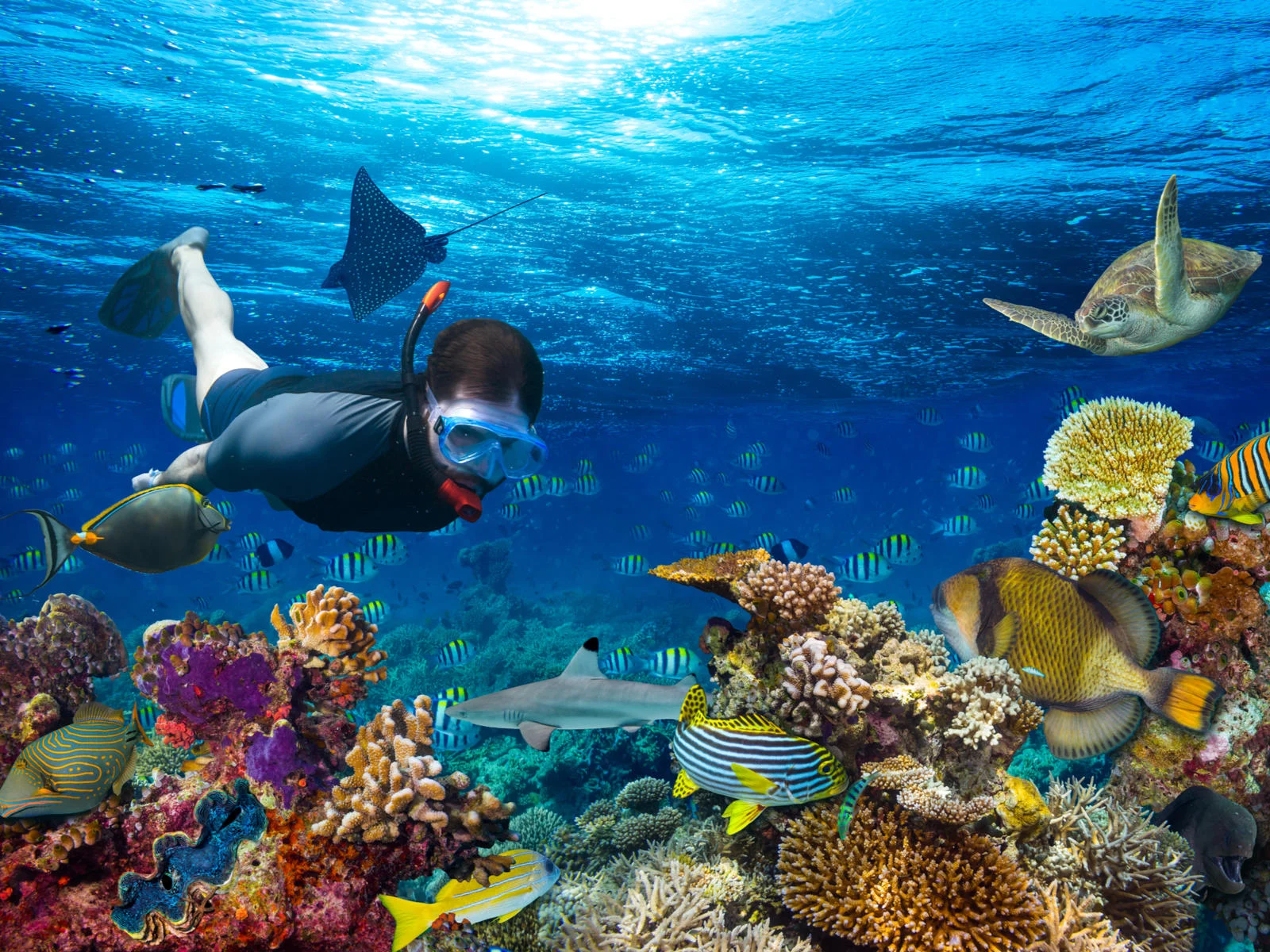 Image of a young man snorkeling during the best time to go to Maldives