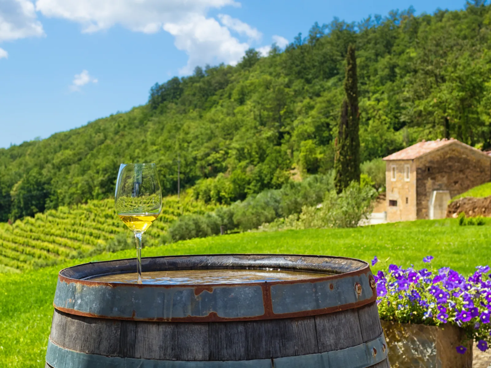 One of the must-do things in Croatia, the vineyards of Isteria, pictured with a wine glass on a barrel