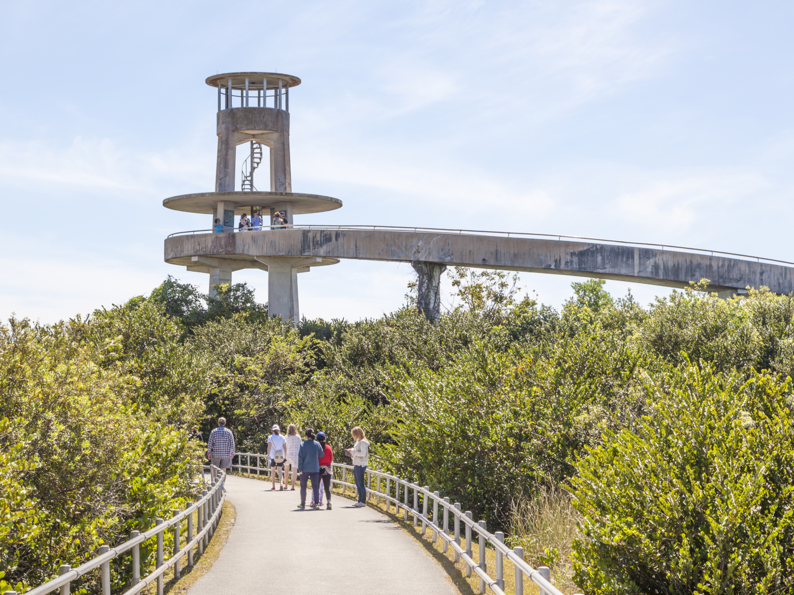 One of the best things to do in Florida, Tamiami Park shark observation tower