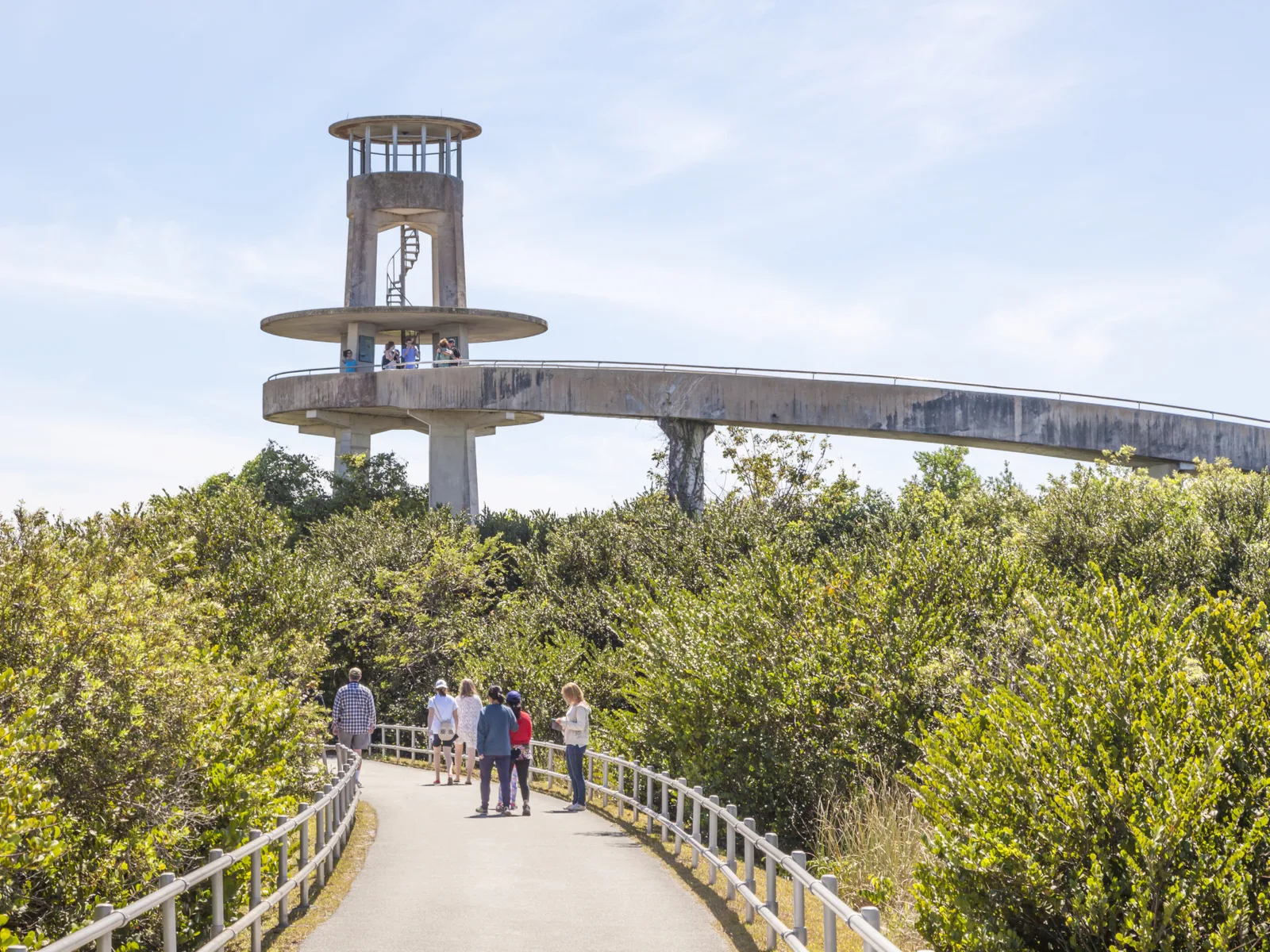 One of the best things to do in Florida, Tamiami Park shark observation tower