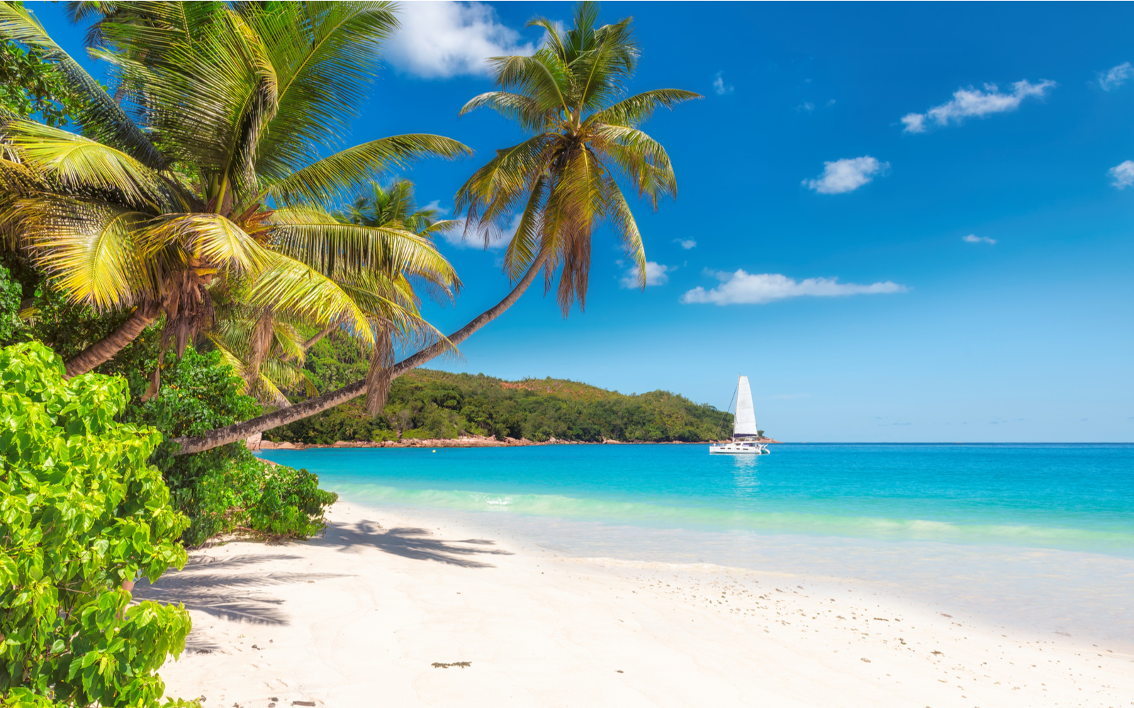 The 15 Best Beaches in Jamaica in 2023
