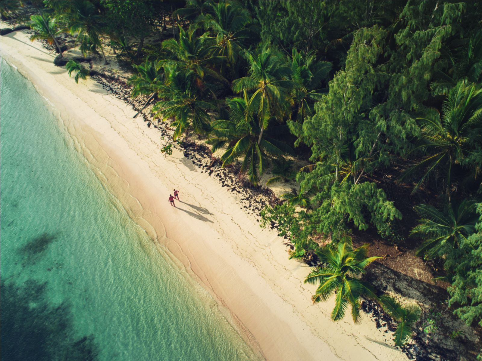 Gorgeous aerial view of two people talking on a beach between the lush jungle and the teal water