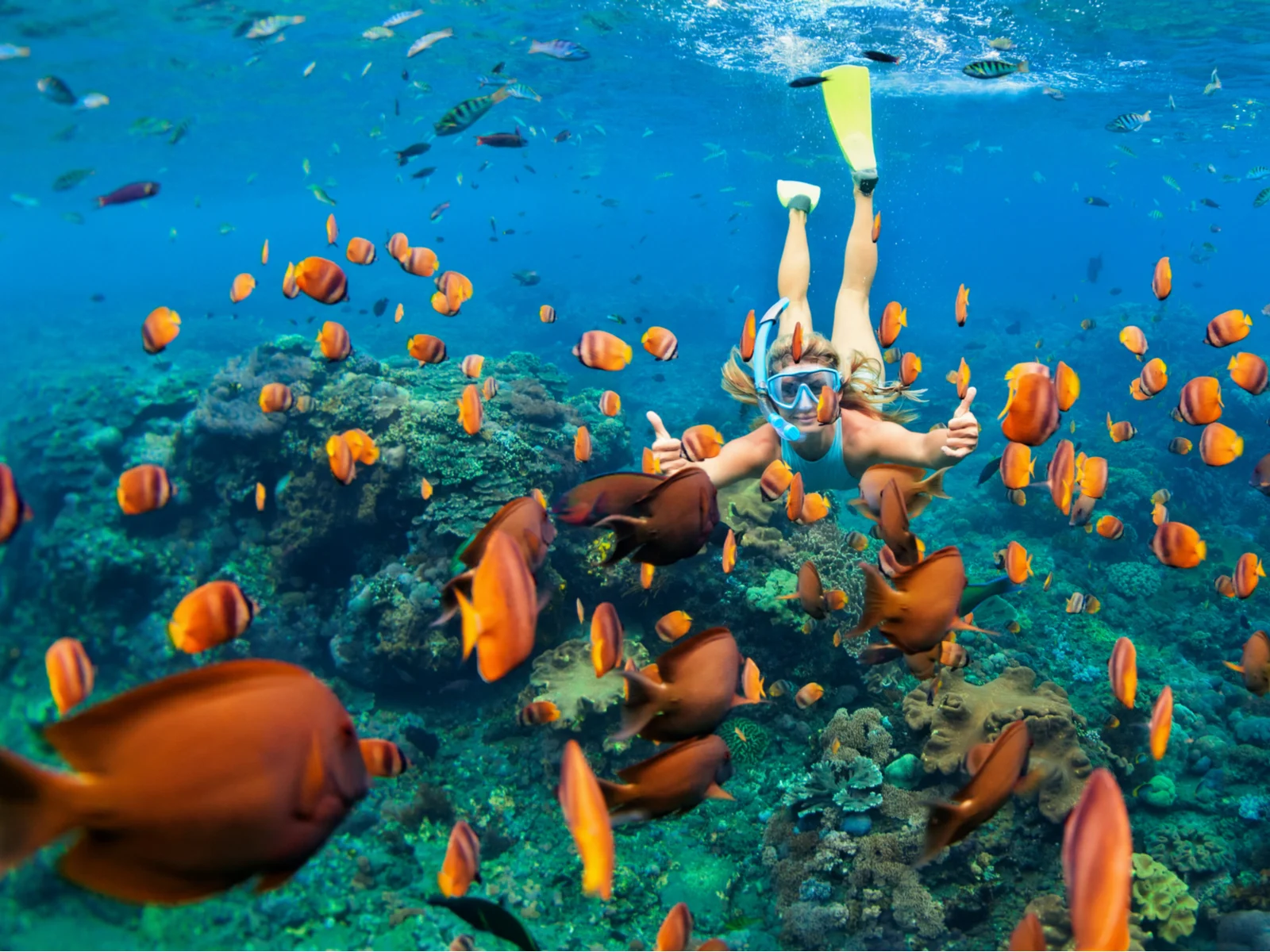 Woman snorkeling with a bunch of beautiful and colorful fish during the best time to visit the bahamas