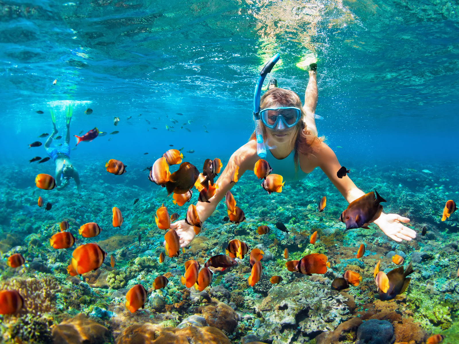 Two people, surrounded by vibrant tropical fishes, snorkeling at one of the best snorkeling spots in Hawaii where thriving coral reefs are nestled at the sea floor