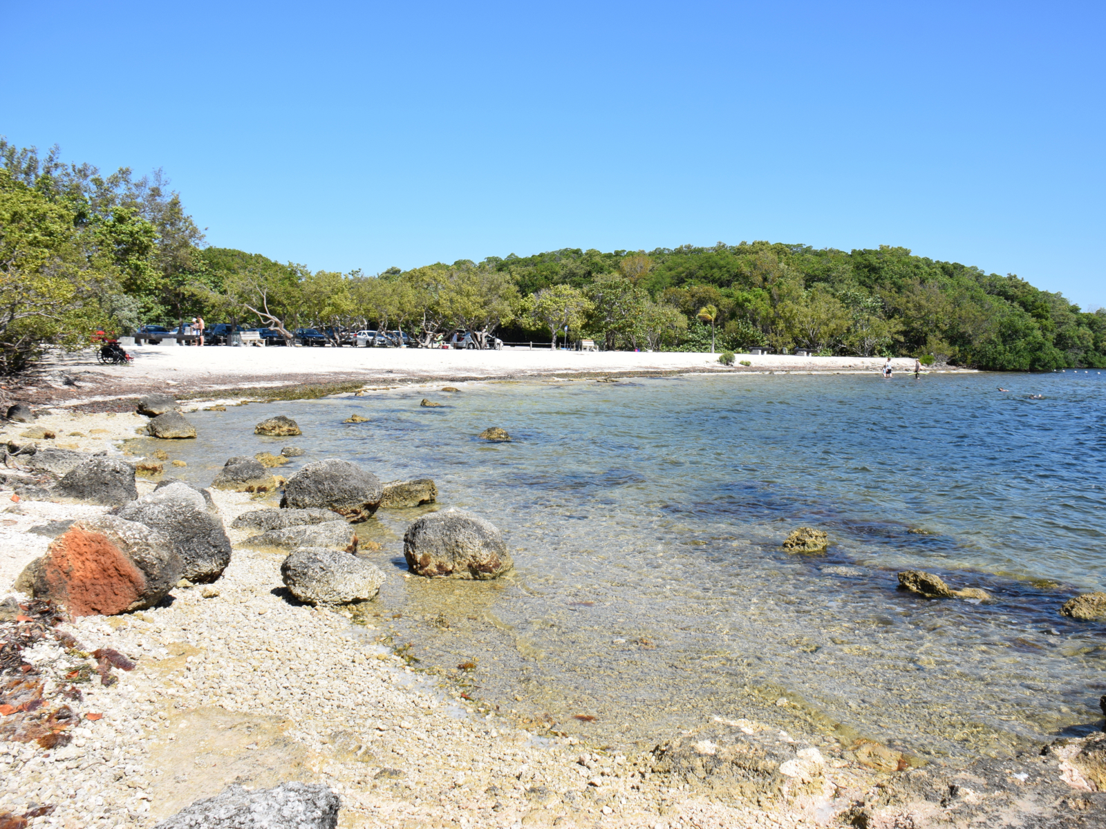 John Pennekamp Coral Reef State Park, one of the best things to do in Miami