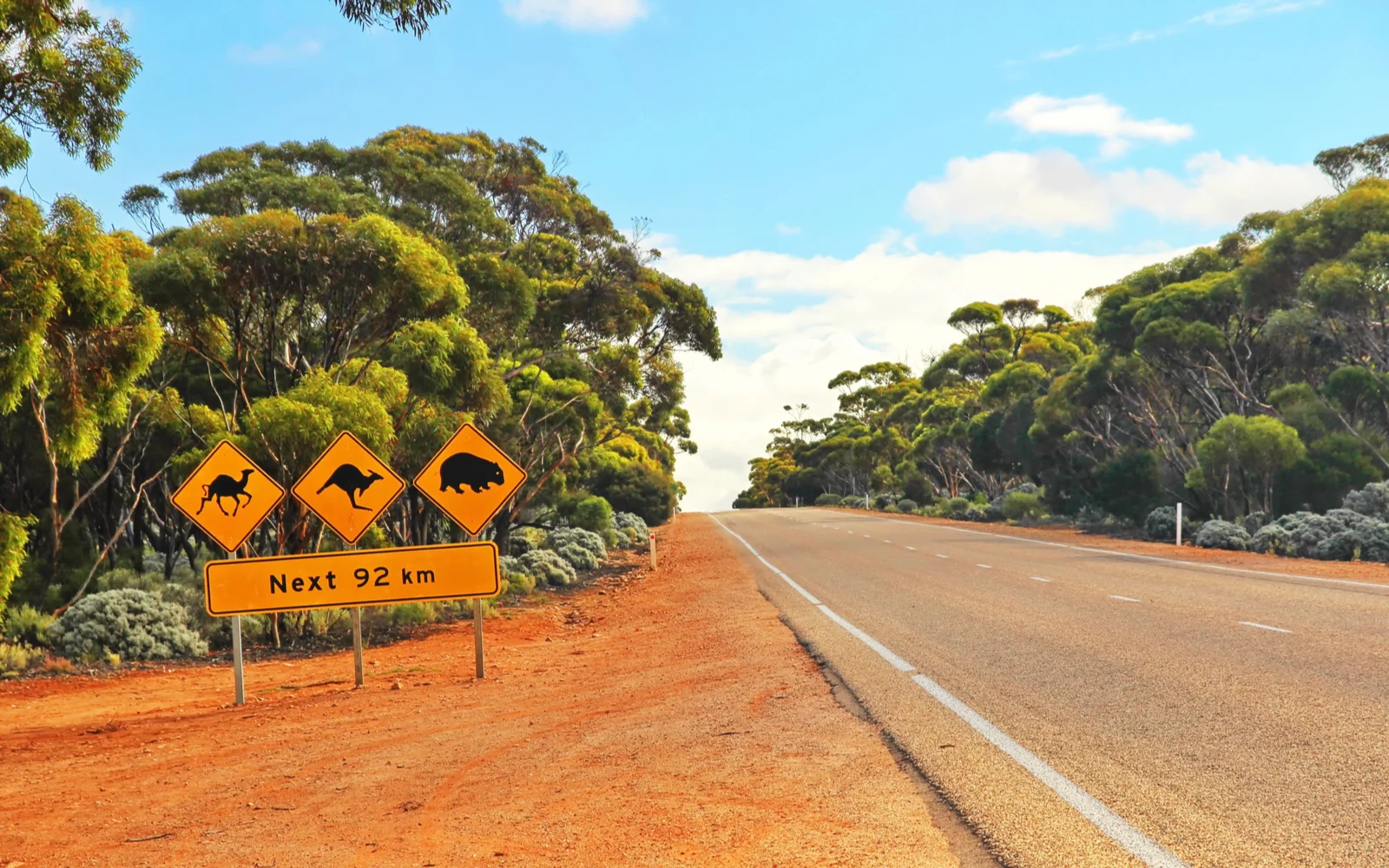 The Best & Worst Times to Visit Australia in 2024