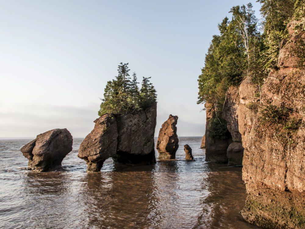 Calm waters on low tide of the iconic rock formations at Hopeswell Rocks in Fundy Bay, one of the best places to visit in Canada