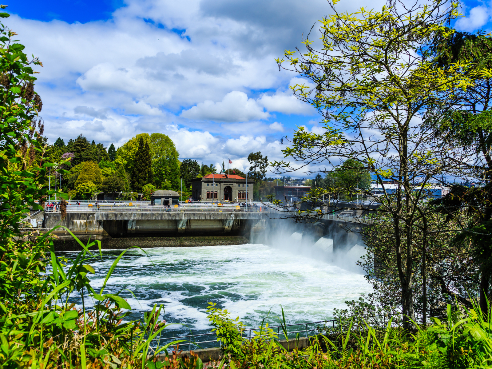 Ballard locks as viewed through trees, a top pick for the best things to see in Seattle
