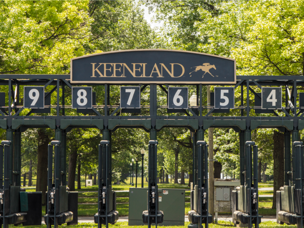An opened starting gate of horse racing at Keeneland, one of the best things to do in Kentucky, with a park in background 