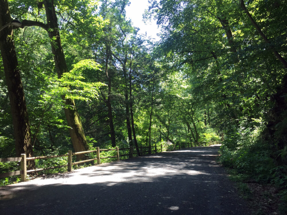 Wissahickon Valley Park, one of the best things to do in Philadelphia, pictured in Summer