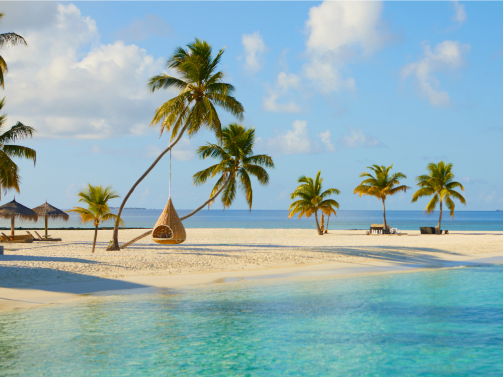 Gorgeous tan beach with palm trees pictured with a swing hanging from a palm tree during the best time to visit Maldives
