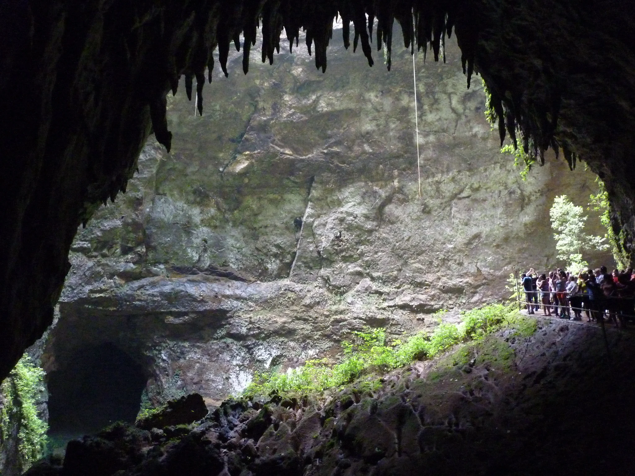 A number of tourists spectating a large sinkhole at Rio Camuy Caves, a piece on the best places to visit in Puerto Rico, with moss-covered rocks and rock formation at the ceiling of the cave