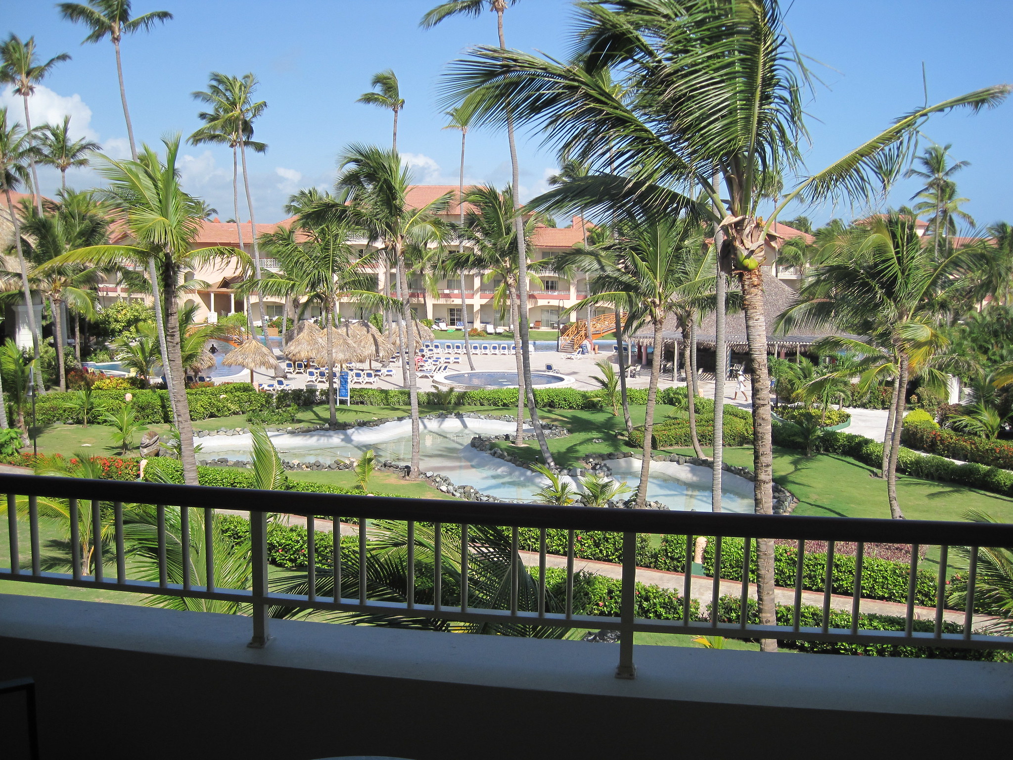 Many coconut trees and multiple pools at the grounds of Majestic Colonial Punta Cana, one of the best all-inclusive resorts in Punta Cana