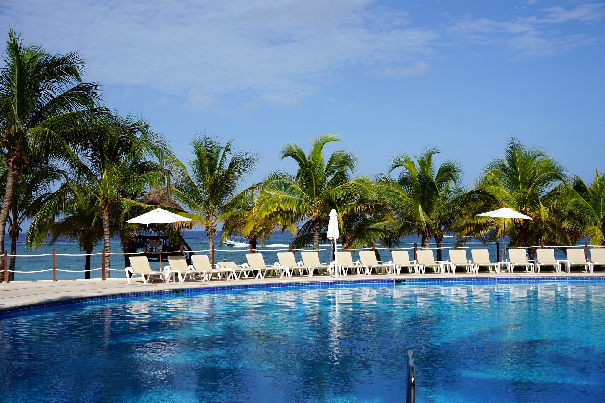 A row of empty sun loungers along the beachside pool and coconuts at Occidental Cozumel, one of the best all-inclusive resorts in Mexico