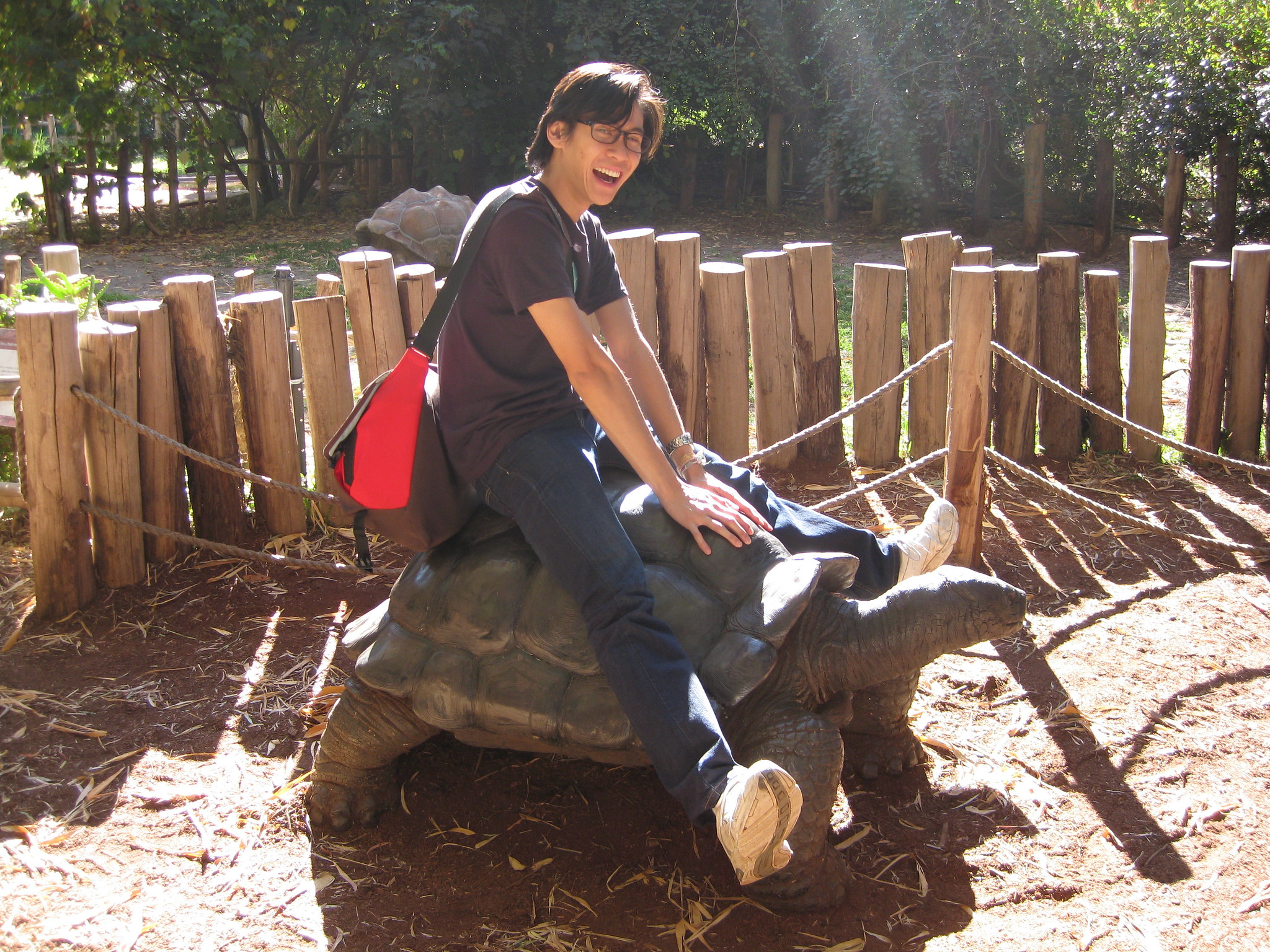 a man enthusiastically riding a gigantic tortoise in a sunny day at fenced lot of zootastic, one of the best things to do in charlotte, nc