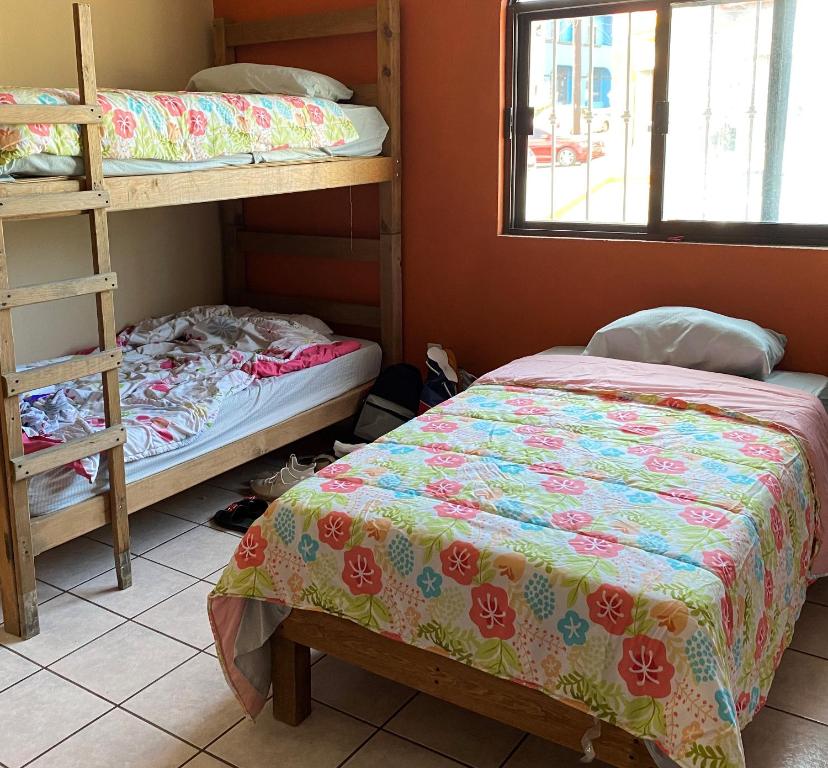 Sofia Hostel, one of the best resorts in Cabo, pictured in the bunk area