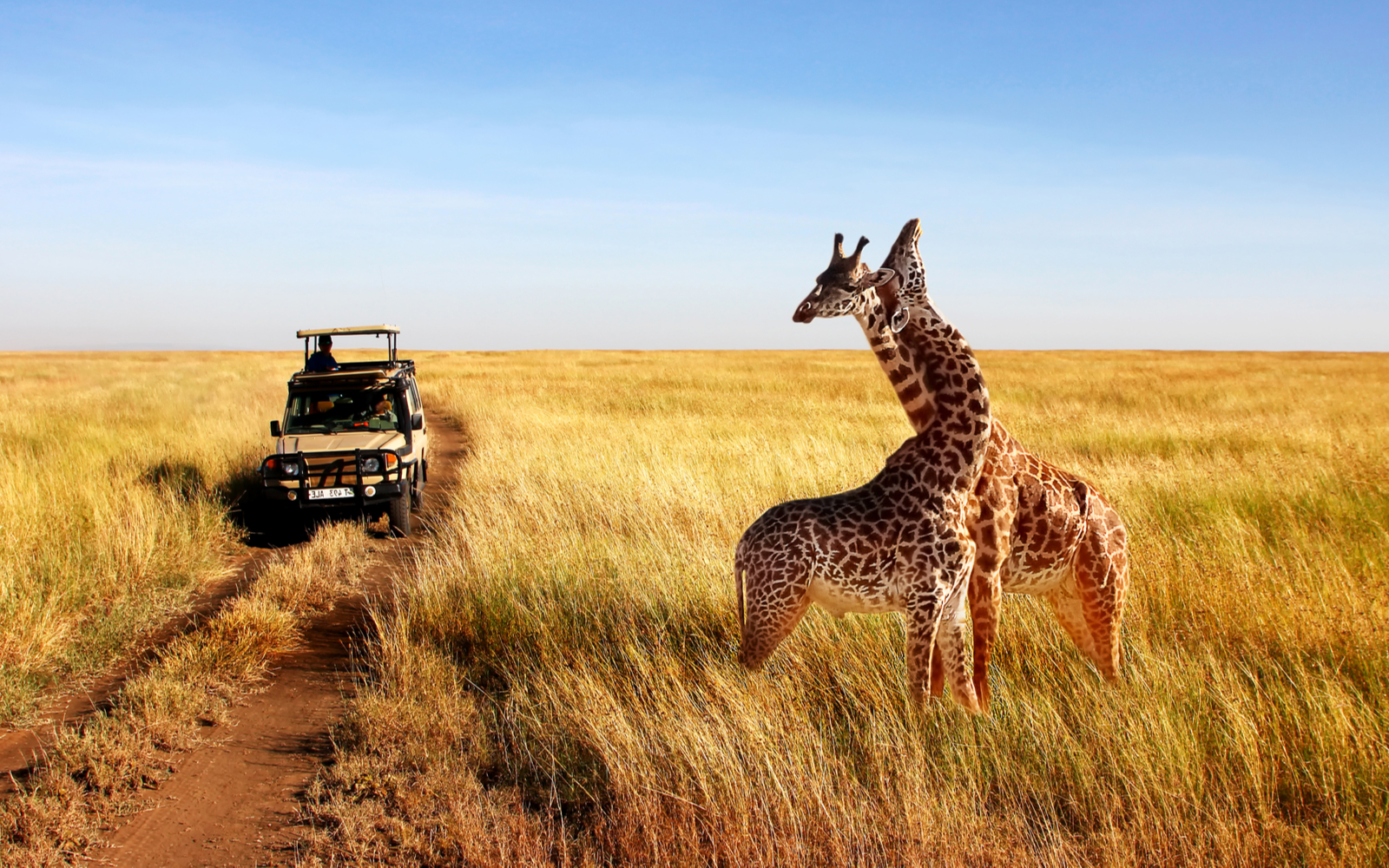Is Tanzania Safe? | Travel Tips & Safety Concerns