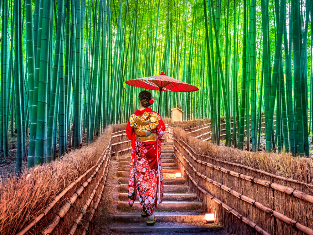 Geisha in a kimono holding a red umbrella walking down the path in the Bamboo Forest for a piece on the best time to visit Japan