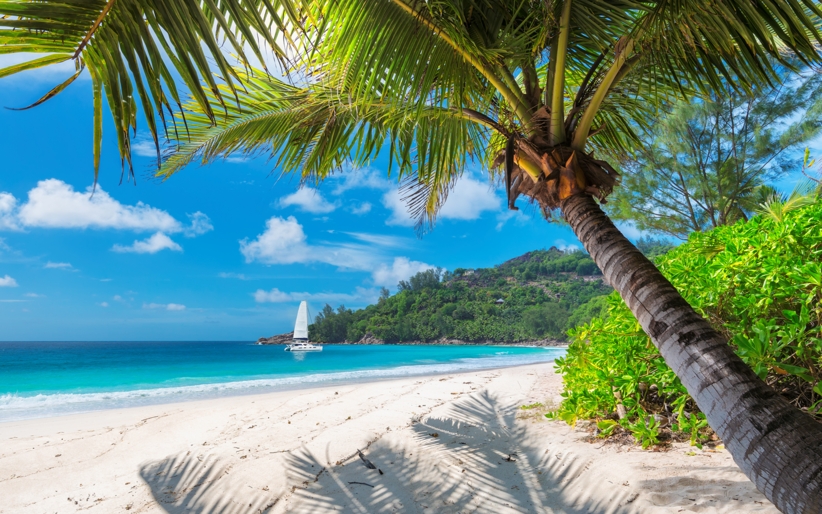 15 Best All-Inclusive Resorts in Jamaica in 2022