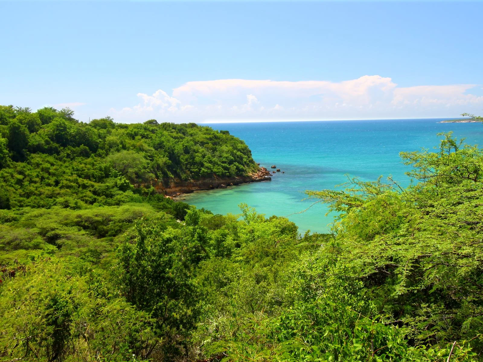 Flourishing greeneries at Guanica State Forest, considered one of the best places to visit in Puerto Rico, near the coast with crystal clear water