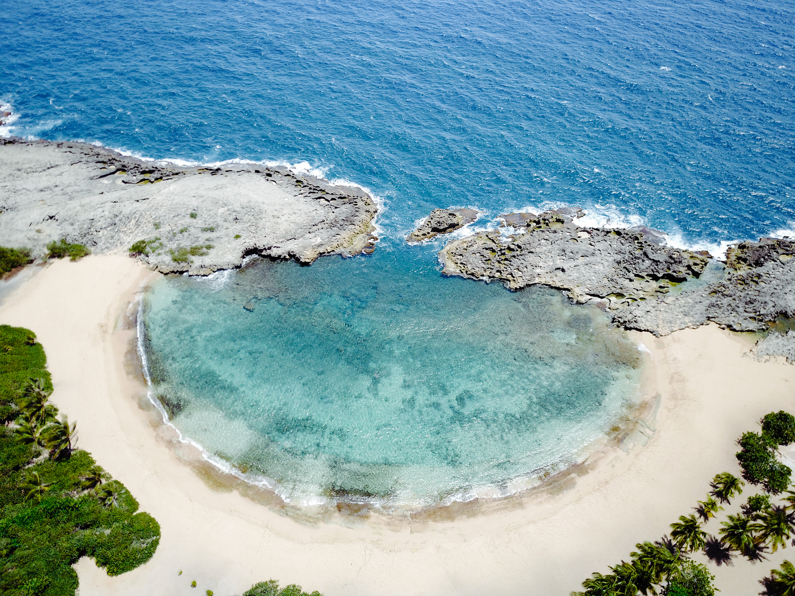 Overhead view of the natural pool with fine sand and palm trees at Manatì, one of the best places to visit in Puerto Rico