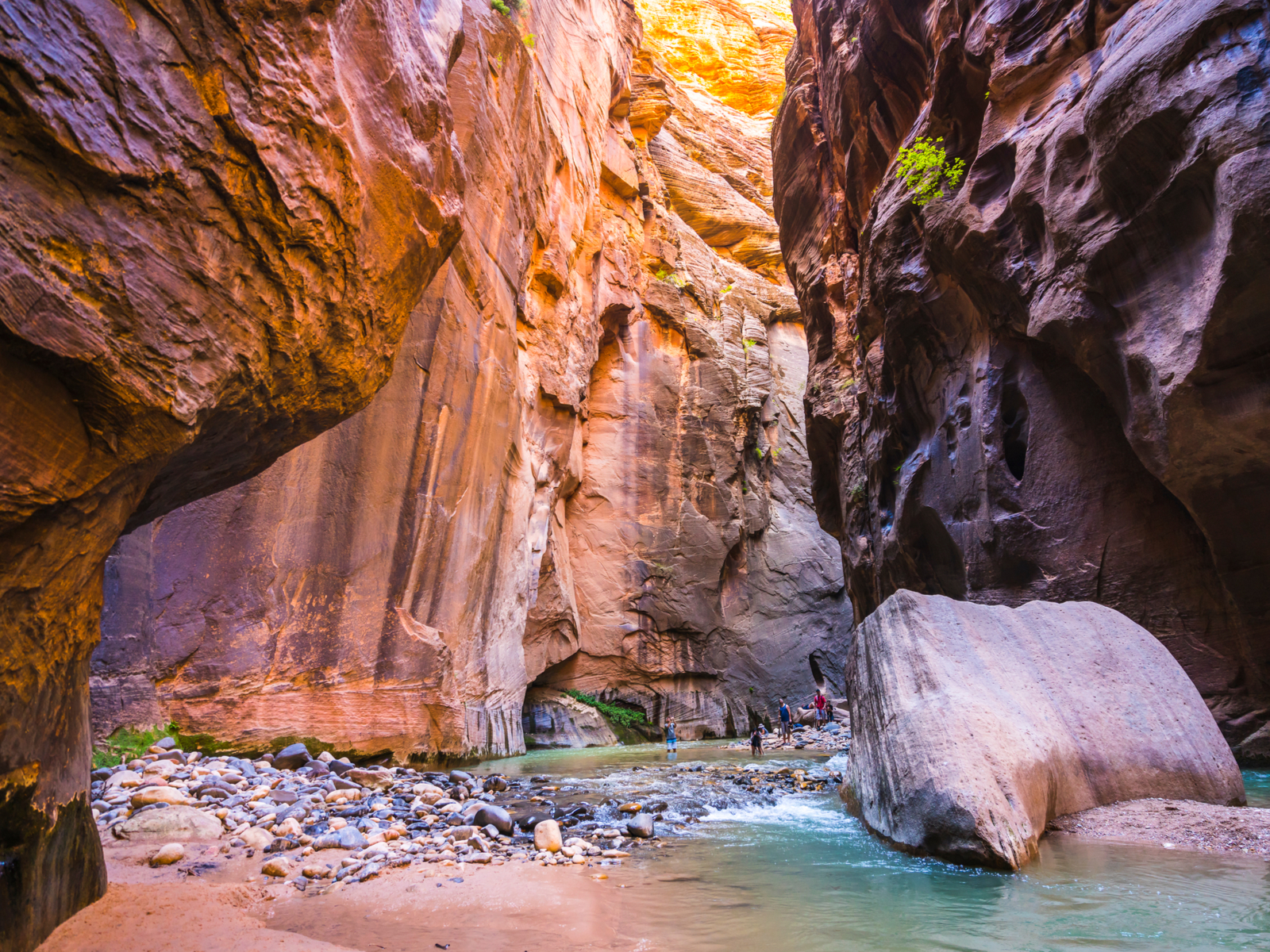 Group of people exploring the narrows section of Zion National Park