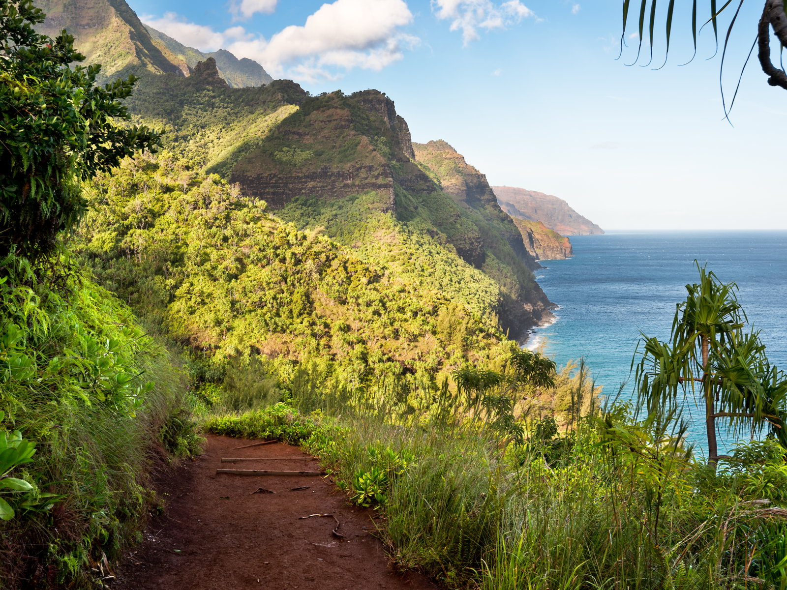 For post on the best things to do in Kauai, the Kalalua Trail is pictured on a sunny day overlooking the ocean