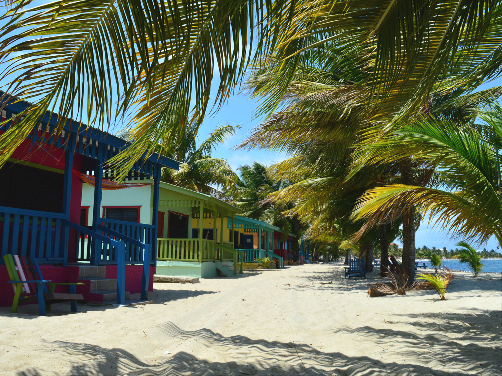 Placencia Peninsula's colorful cabins overlooking the beach and the ocean below palm trees