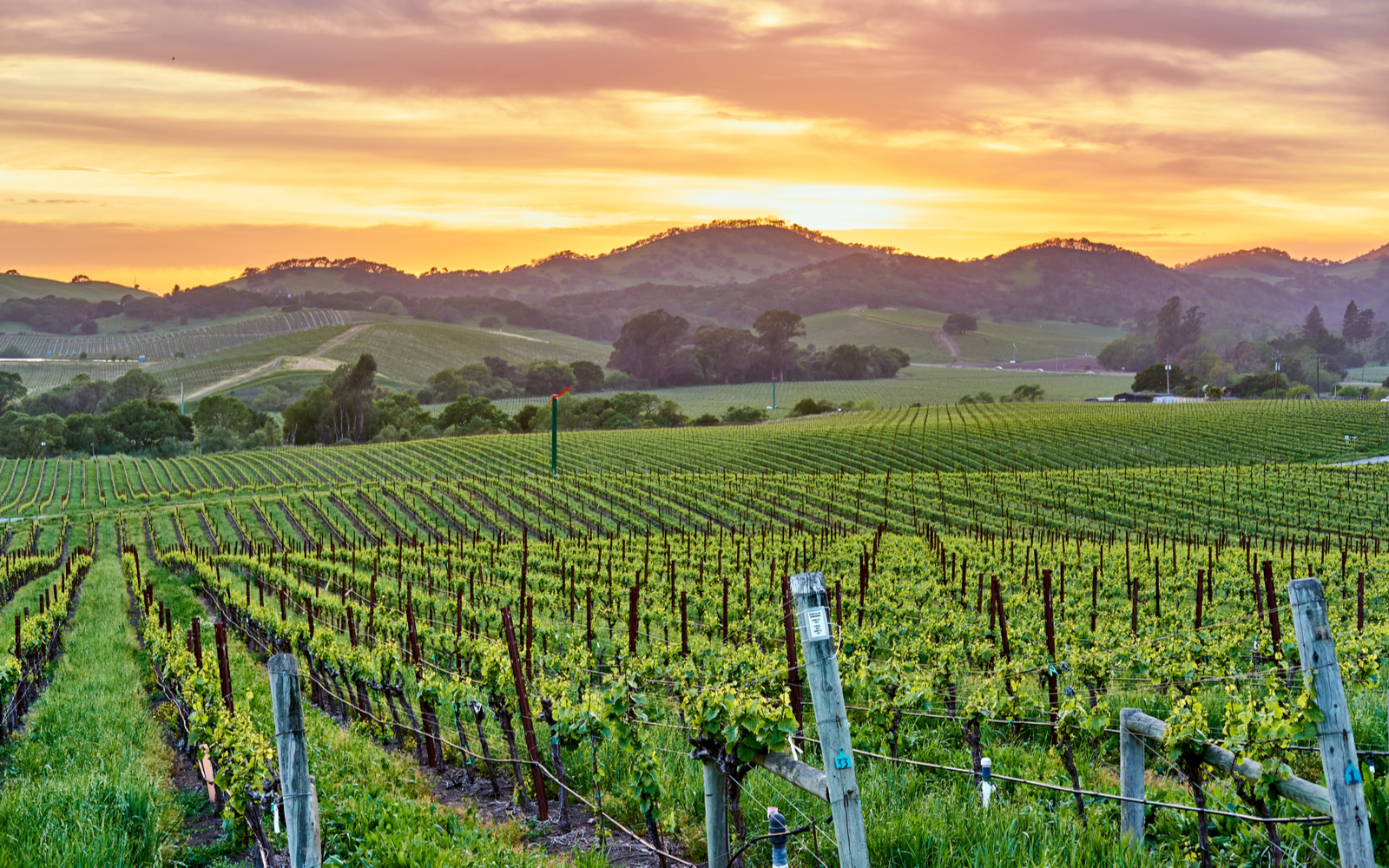 Where to Stay in Napa Valley in 2023 | 5 Best Areas