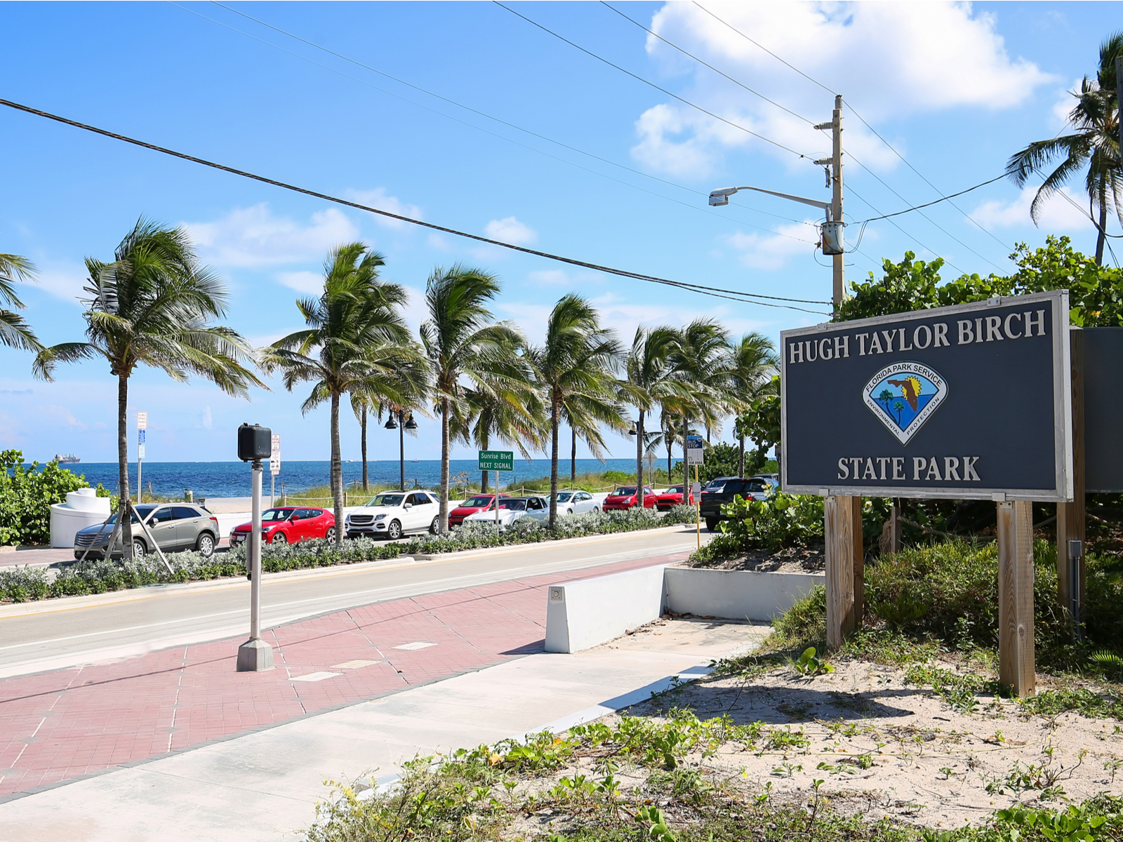 Wind gently blowing on palm trees of Hugh Taylor Birch State Park which is one of the best things to do in Fort Lauderdale, with huge signage and several parked cars