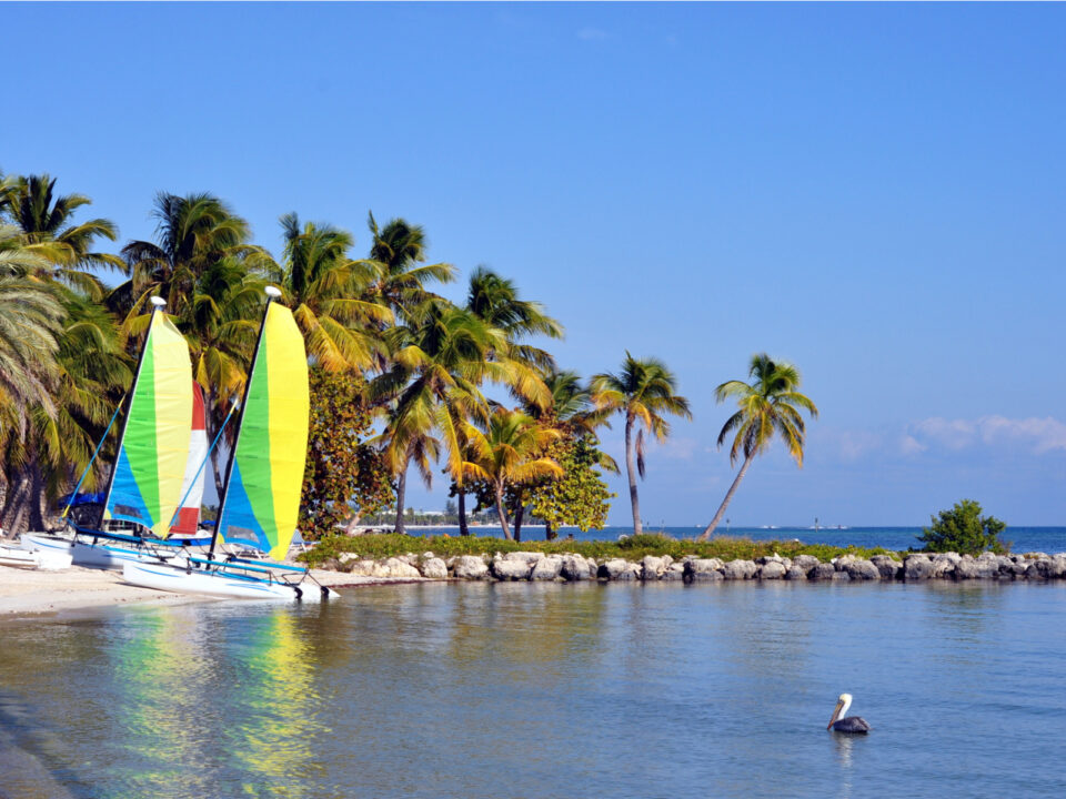 📅 The Best Time to Visit the Florida Keys in 2023