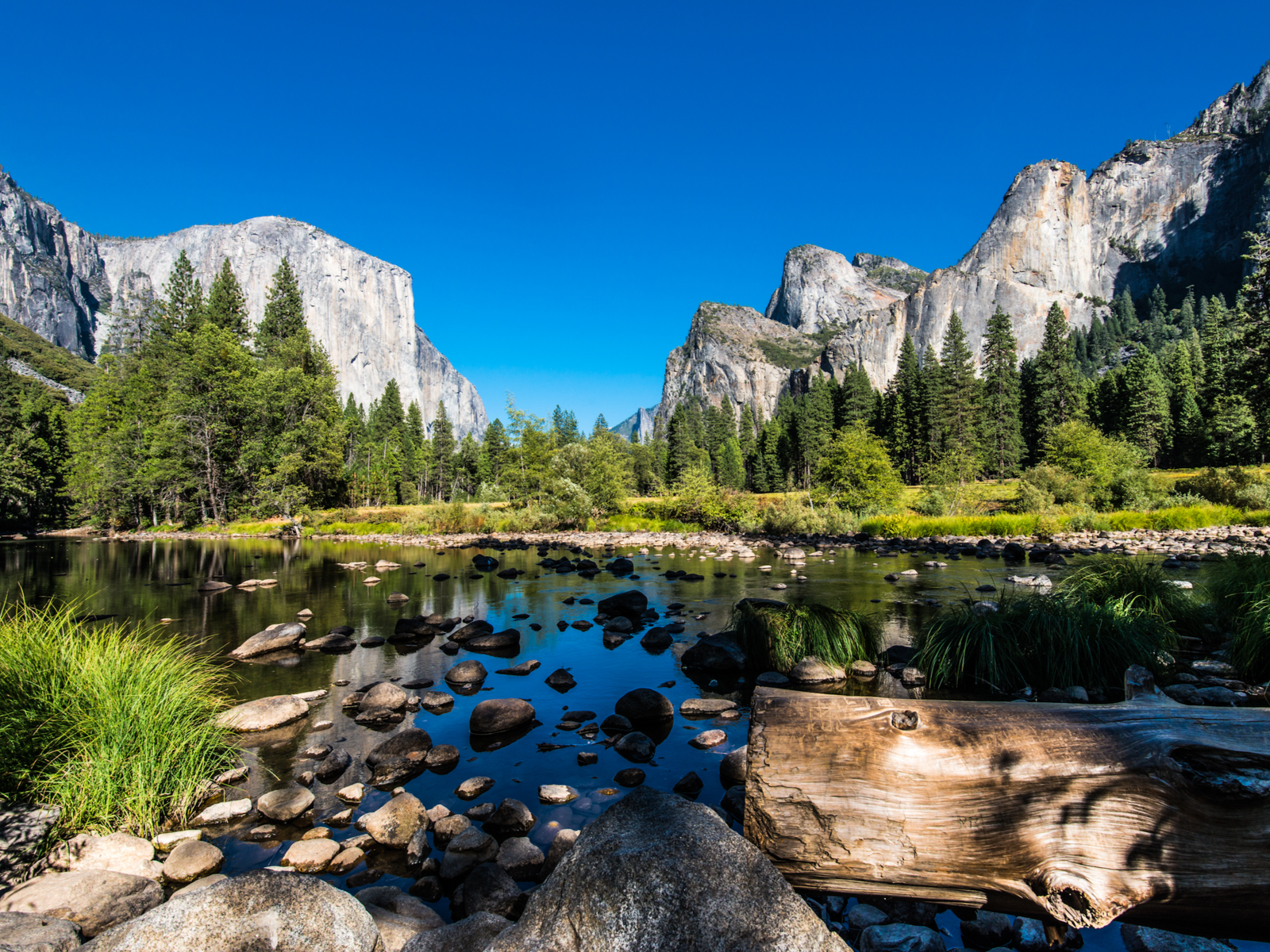A stream on a valley beside a patch of forest at the foot of mountains in Yosemite National Park, one of the most iconic places in America
